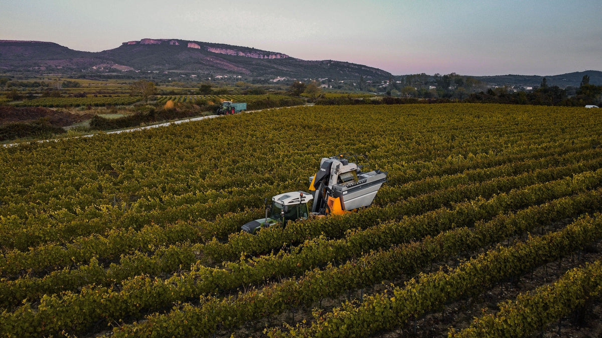 Vignerons Ardechois