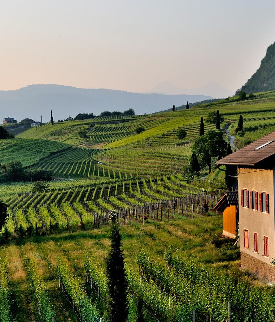 Rocca Dei Forti