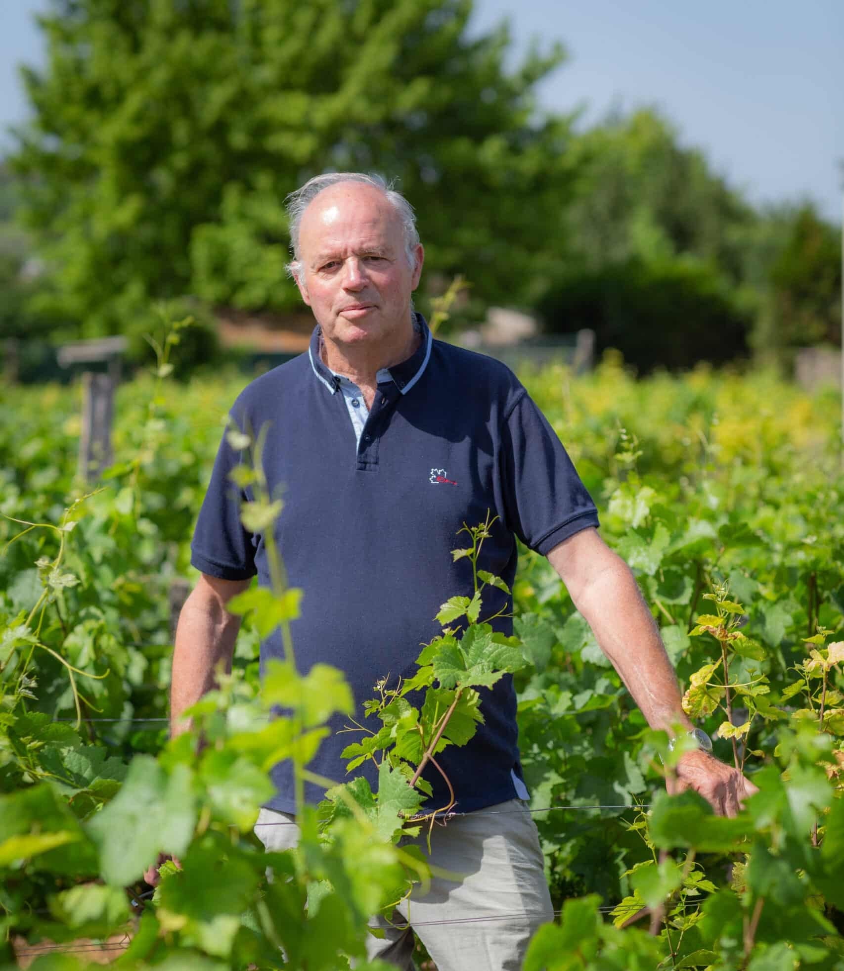 Domaine Remoriquet