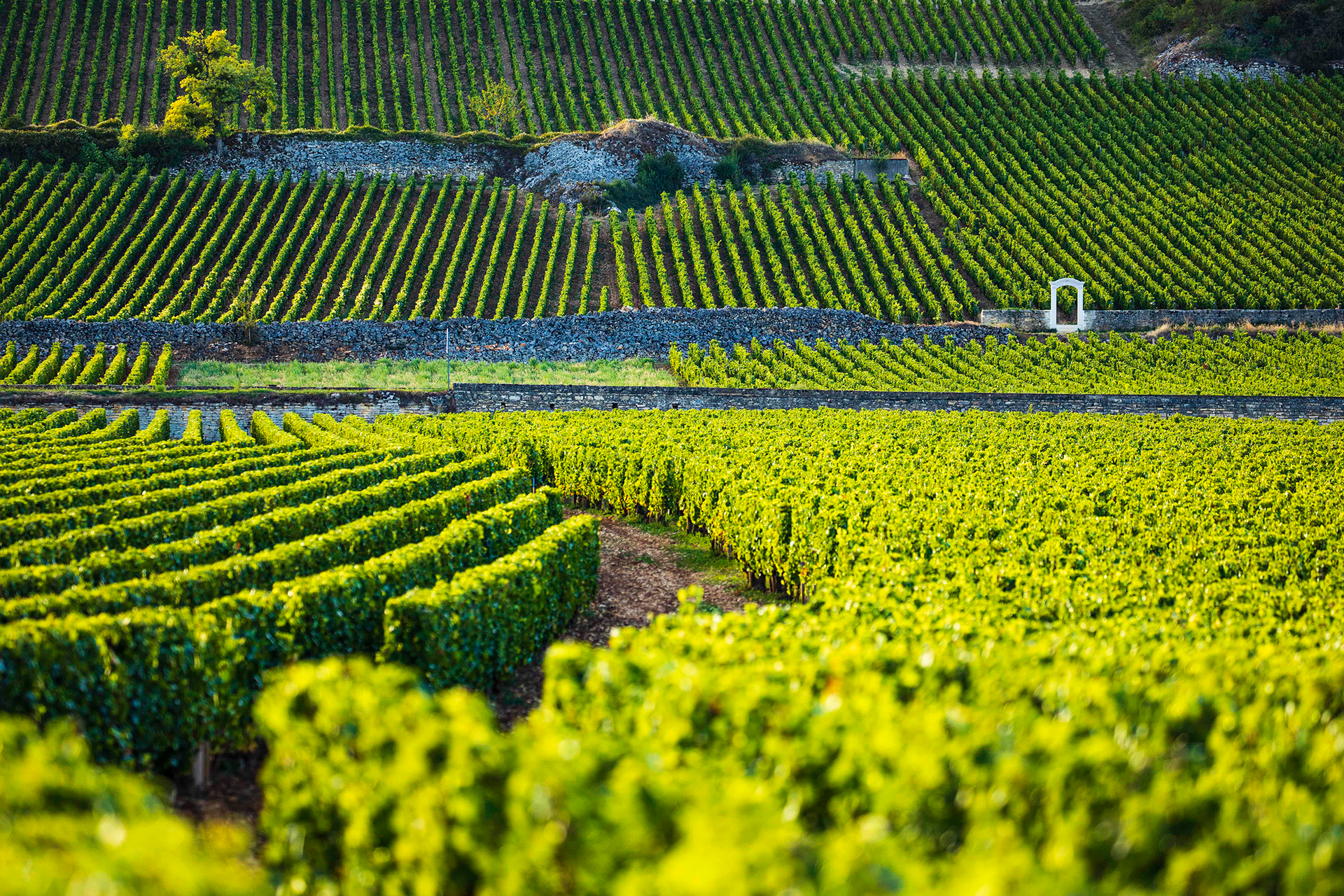 Bourgogne