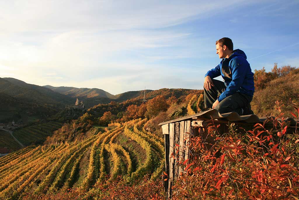 Weingut Proidl