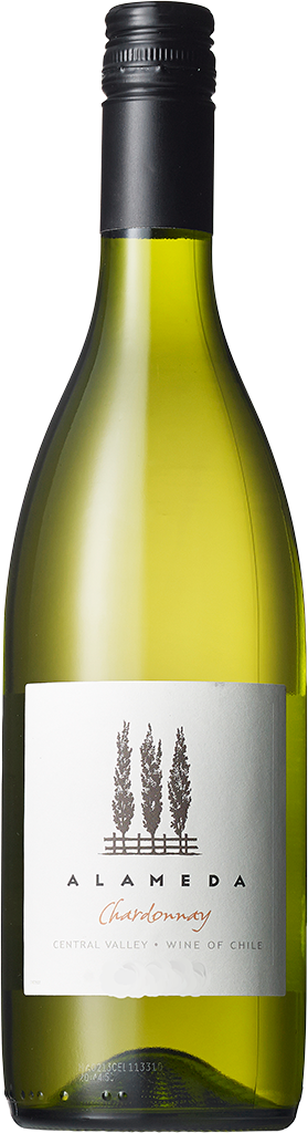 Chardonnay