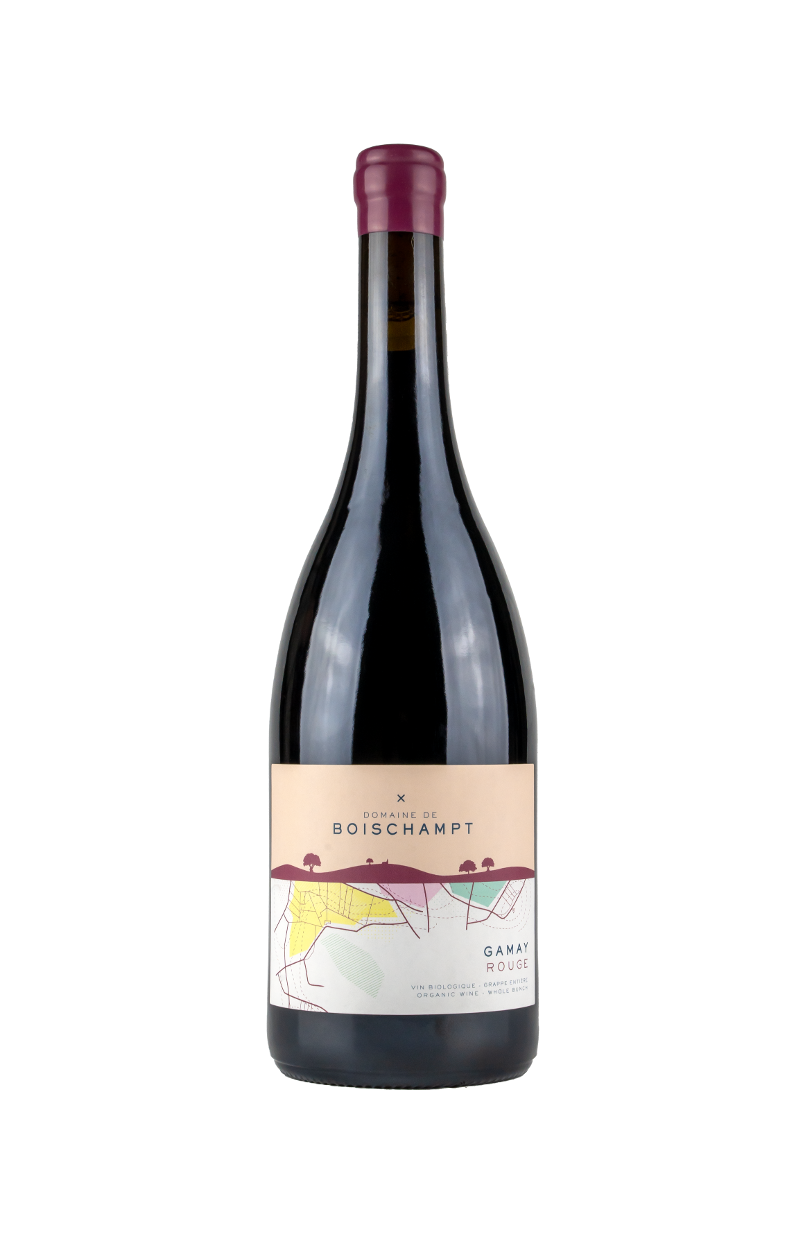 Domaine de Boischampt Beaujolais Villages Rouge