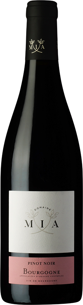 Bourgogne Pinot Noir
