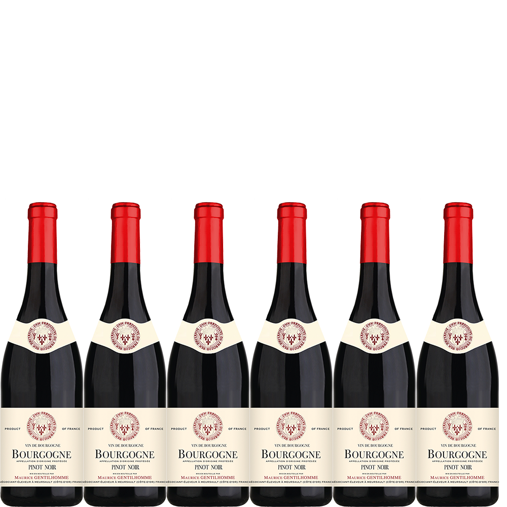 6 flaskor 2022 Bourgogne Pinot Noir