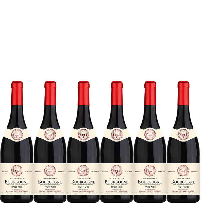 6 flaskor 2022 Bourgogne Pinot Noir