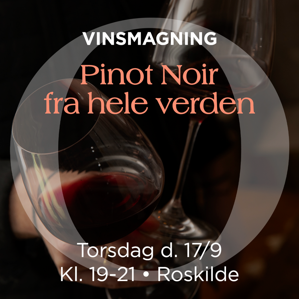 Pinot Noir-provning