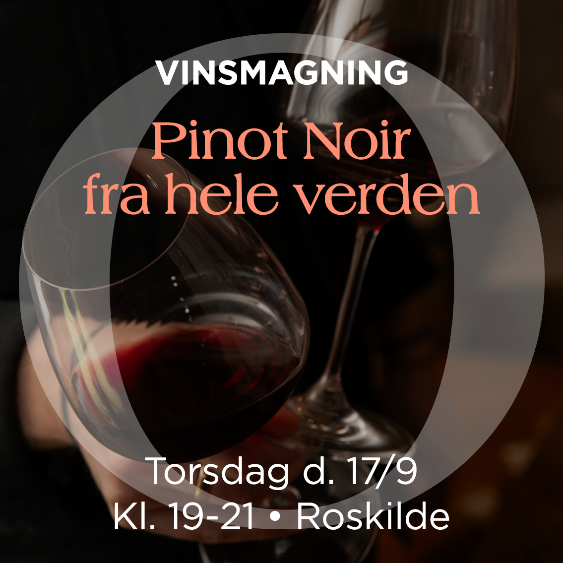 Pinot Noir-provning
