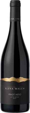 2025 Pinot Noir Blauer Burgunder