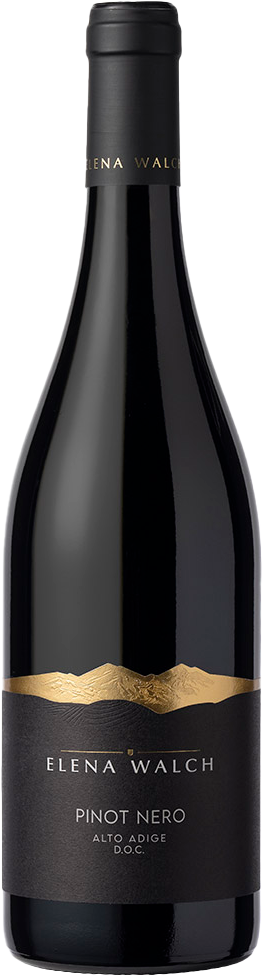Pinot Noir Blauer Burgunder