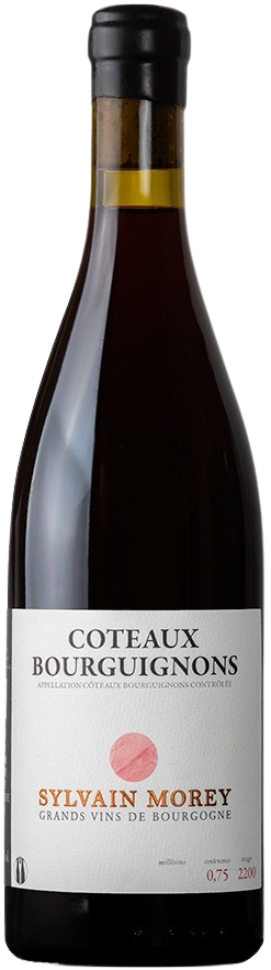 Sylvain Morey – Coteaux Bourguignons